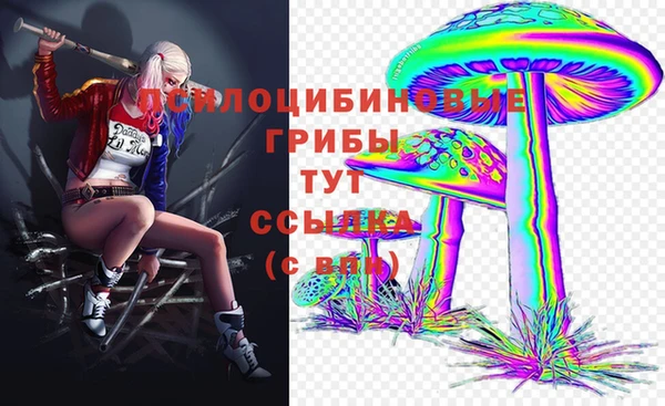 прущий лед Армянск